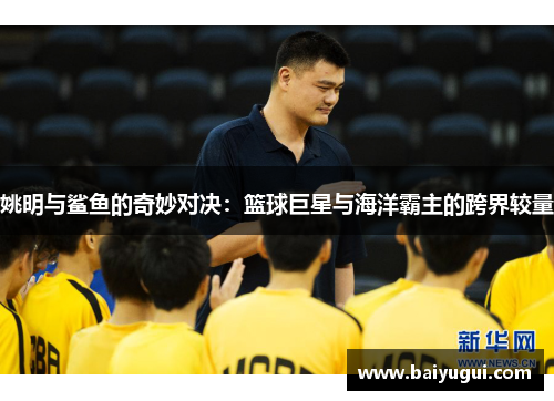 姚明与鲨鱼的奇妙对决：篮球巨星与海洋霸主的跨界较量